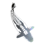 Edelstahl Koi-Schild Shusui 30cm