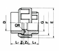 PVC3/3 Kupplung zum kleben und 1x Innengewinde 25 mm x 3/4"