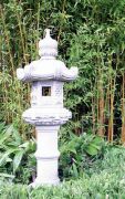 Kasuga, Höhe 150 cm