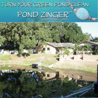 Pond Zinger Phospath Entferner/Flockungsmittel