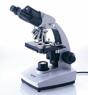 Binokulares Mikroskop