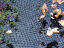 Teichabdecknetz Cover Net - VT Ideal für das Auffangen von Blättern